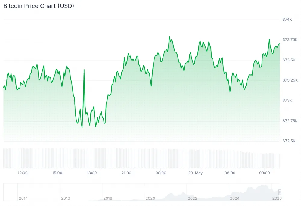 Chart showing Bitcoin price over the past 24 hours. Source: CoinGecko