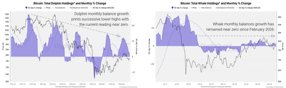 Charts showing total whale and dolphin Bitcoin holdings. Source: CryptoQuant