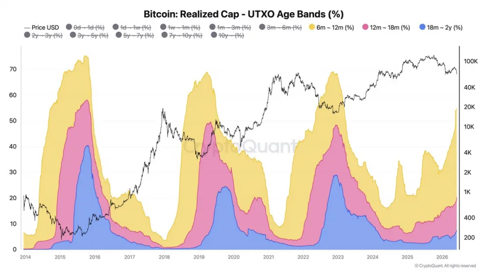 Chart showing Bitcoin's realized cap. Source: CryptoQuant