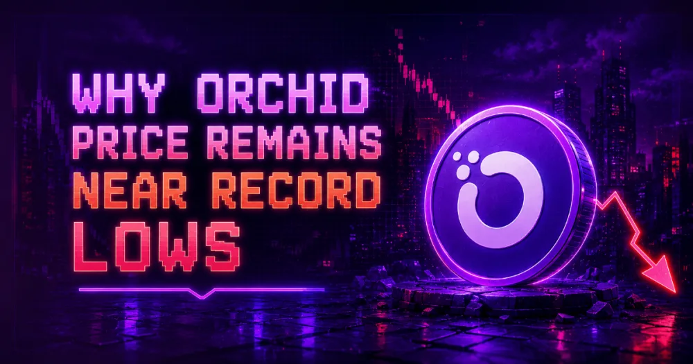 Why Orchid Price Remains Near Record Lows