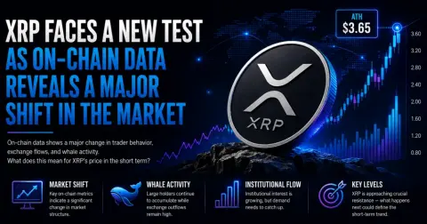 XRP Faces a New Test as On-Chain Data Reveals a Major Shift in the Market